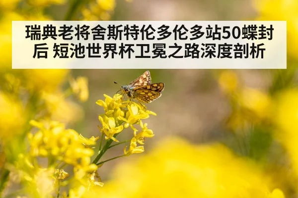 瑞典老将舍斯特伦多伦多站50蝶封后 短池世界杯卫冕之路深度剖析