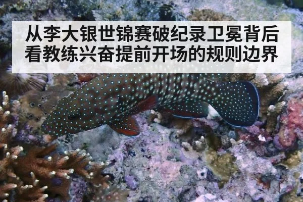 从李大银世锦赛破纪录卫冕背后看教练兴奋提前开场的规则边界